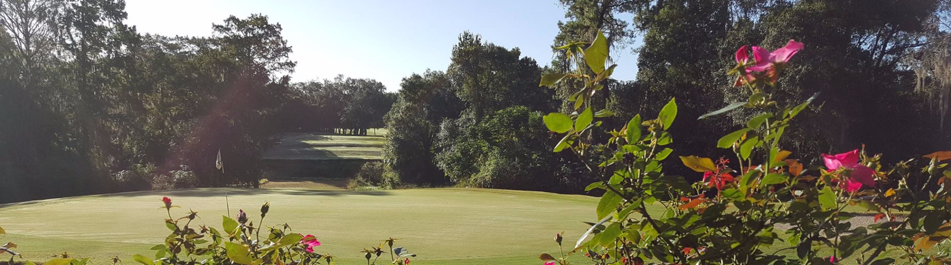 View of golf course green with flowers